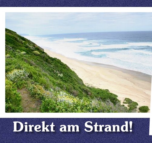 Der Weg runter zum Strand von Bruni's Bed & Breakfast