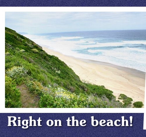 Walk down to the beach at Bruni's Bed and Breakfast, Wilderness