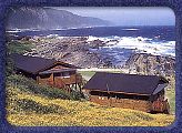 The breathtaking Tsitsikamma National Park